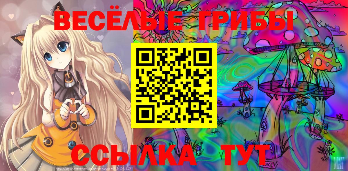 Галлюциногенные грибы Cubensis  Галлюциногенные грибы прущие грибы  Вход с VPN  Людиново 